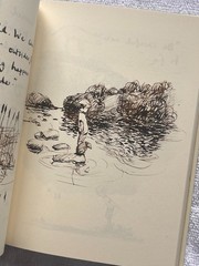 THE BOY, THE MOLE, THE FOX AND THE HORSE Charlie Mackesy FIRST EDITION 2019 Nice