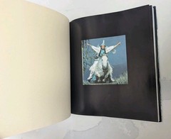 1981 ALL THOSE GIRLS IN LOVE WITH HORSES Robert Vavra HC DJ Photos International