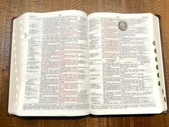 French Thompson Chain Ref. Bible, 1979 La Colombe, Thumb Idx. Brown Faux Leather