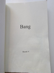 Bang : More Lays in 60 Days by Roosh V (2007, Trade Paperback) art of hooking up