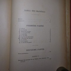 N25.4 Misery Size Humanity Primitive 1889 Illustrated Anthropology Mrs. Meunier