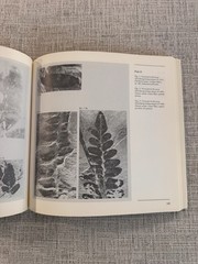 Upper Carboniferous Fossil Flora Nova Scotia Paleobotany Museum Monograph 1980