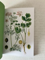 Herbal Handbook New York Botanical Garden 2022 1st Edition Clarkson Potter PB