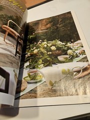 Special Celebration Issue Tea Time Rocky Mountain Tea Treasures Magazine