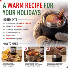 Earth&Me Stainless Steel Thermo for Hot Food 17OZ with Folding Spoon, Vacuum Ins