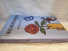 I Was Never Broken: Volume 3 Moonsoulchild by Sara Sheehan collections of poems