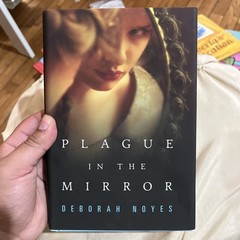 Plague in the Mirror by Deborah Noyes Historical Fiction Novel Tale