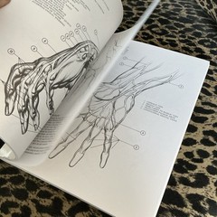 Drawing Dynamic Hands by Burne Hogarth (1988, Trade Paperback)