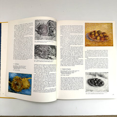 Van Gogh in Arles by Ronald Picvance The Metropolitan Museum of Art 1984 – HC/DJ
