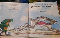 The Tortoise and the Hare by Janet Stevens Reading Rainbow Weekly Reader RARE