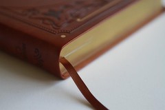 KJV Giant Print Thinline Bible – Durable Brown Cover, Ribbon Marker, 1408 Pages