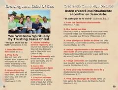 200 Full-Color Gospel Bible Tracts in English & Spanish | 4 Assorted Covers