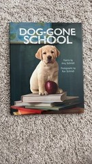 Dog-Gone School by Amy Schmidt (2013, Picture Book)