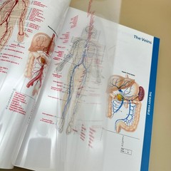 Memmler’s The Human Body in Health & Disease Cohen Hull 14th Ed. Wolters Kluwer