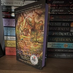 Sarah Beth Durst The Spellshop and The Enchanted Greenhouse Hardcover Fantasy