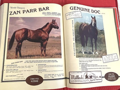 1979 Quarter Horse Journal, Book, STALLION EDITION! – KIDNAP BAR – ZAN PARR BAR