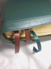 Humble Lamb NKJV Shepherd Bible Forest Green Goatskin Full-Grain Ribbons Gilded
