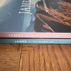 The Daily Grace Co. James: The Steadfast Life Schmucker PB 2017 Study Guide