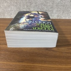 Lodestar Book 5 Keeper of the Lost Cities by Shannon Messenger paperback Fiction