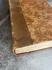 Thomas Carlyle’s Works (1890) Full Set, Leather, 20-Vols Bound in 10
