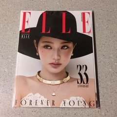 Jang Ki-young ELLE Nov 2025 Magazine Japan Edition 29x22cm Used