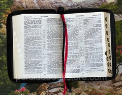 Russian Leather Bible Zipper Index Medium Size Русская Библия Замок,Индексы
