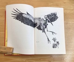RIVER of the GOLDEN IBIS by Jahoda (1973 First, HC/DJ) Hillsborough River, FL