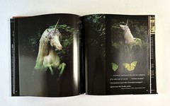 The Unicorns of Kilimanjaro by Robert Vavra First Edition fantasy photography