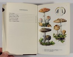 1961 Mushrooms Toadstools in Colour Blandford First Edition Dust Jacket Hvass
