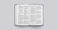 ESV Large Print Value Thinline Bible (Trutone, Mahogany, Border Design)