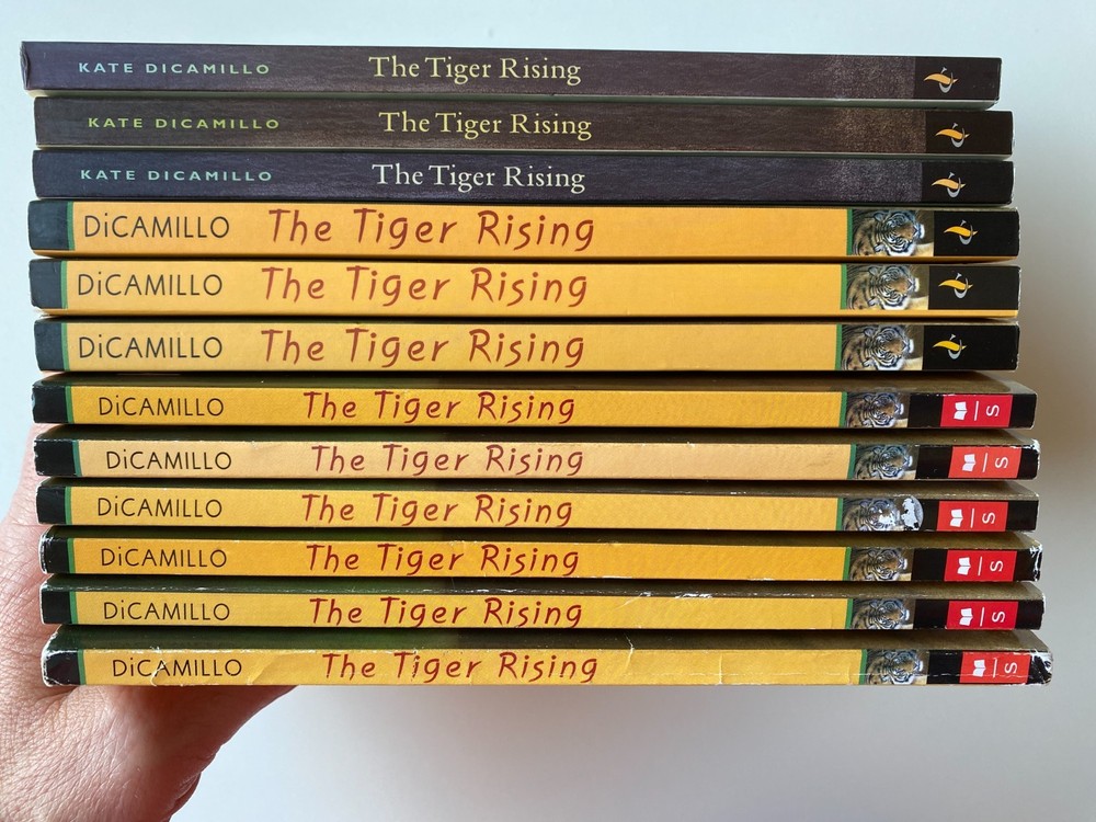 TIGER RISING~Kate DiCamillo~GUIDED READING LOT 12~Class Set~FLORIDA WOODS~Grief~