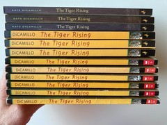 TIGER RISING~Kate DiCamillo~GUIDED READING LOT 12~Class Set~FLORIDA WOODS~Grief~