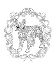 Dogs Coloring Book for Adults and Teens All Ages 108 Pages 8.5 x 11 for All Ages