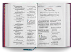 ESV the Biggest Story Holy Bible for Kids (Hardcover) — Kevin DeYoung – Bible