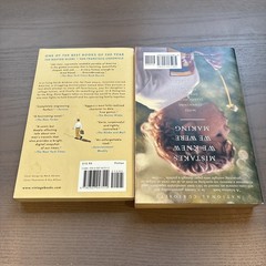 Dave Eggers Paperback Lot (2000, 2014) A Heartbreaking Work & Hologram For King