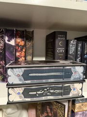 BEWITCHED PAGES, SIGNED EXCLUSIVE EDITION -dire Bound and furybound