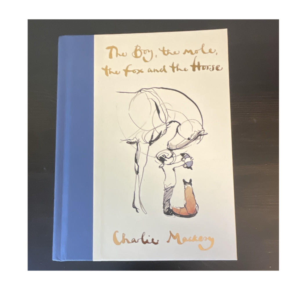The Boy, the Mole, the Fox and the Horse by Charlie Mackesy Hardcover Illustrat…