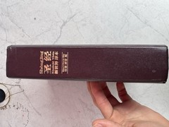 New World Translation Holy Scriptures Chinese Simplified (PINYIN) Watch Tower