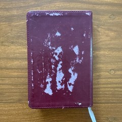 Jesus Lives Sarah Young Devotional Burgundy Faux Leather 2009 Ribbon Marker