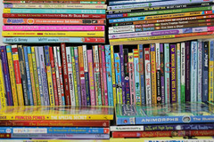 Lot of 30 Children’s Kids Chapter Books Instant Library Variety Bundle