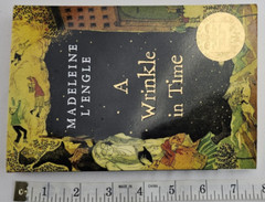 A Wrinkle in Time by Madeleine L’Engle – Paperback Edition (ISBN: 9780312367541)