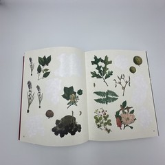 [80% Full] The Forests, Fairies and Fungi Sticker Anthology Book 1,000+ Stickers