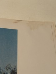 The Western Art Of Frederic Remington Baigell 1976 Damage Back Cover