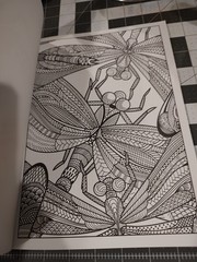 Bendon Everybody Loves Coloring Animals Coloring Book