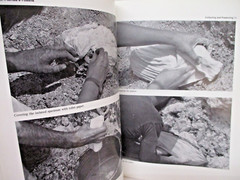 Florida’s Fossils by Brown Guide to Location, Identification and Enjoyment book