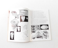 Fossil Sharks: a pictorial review by Gerard R. Case 1973 Signed 1st Printing