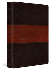 ESV Giant Print Personal Size Bible, Red Letter, Thumb Indexed (Trutone, Forest/