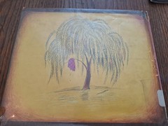 Vintage DANDELION Don Freeman – Hardcover 1967 First Edition 5th Printing book