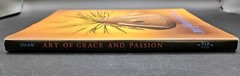 Art of Grace and Passion Antique American Indian Art Book Coffee Table HCDJ