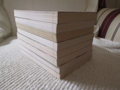Lot of 8 FLIGHT 29 DOWN Series #1 2 3 4 5 6 7 & Prequel by D.J. MacHale & Rogow